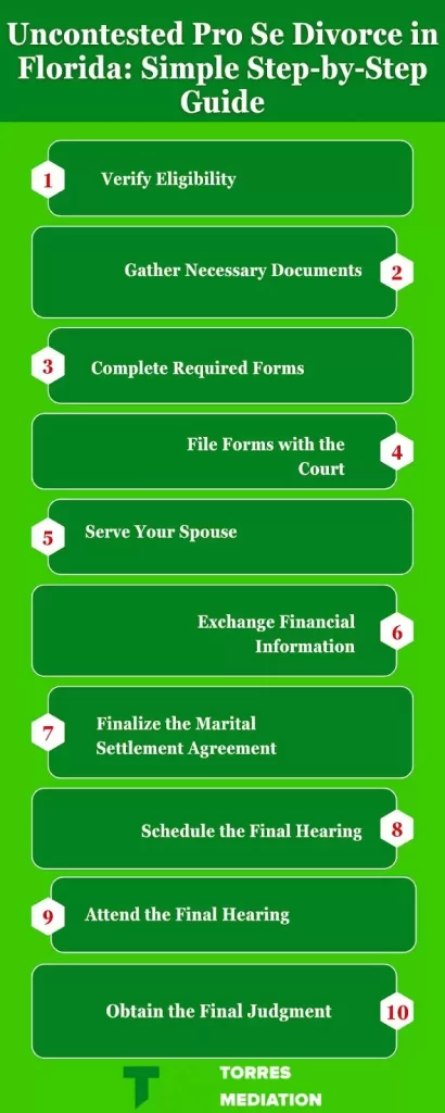 Filing the Divorce Petition in Florida