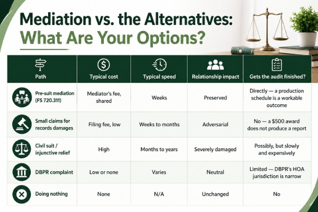 Mediation vs. the Alternatives: What Are Your Options?